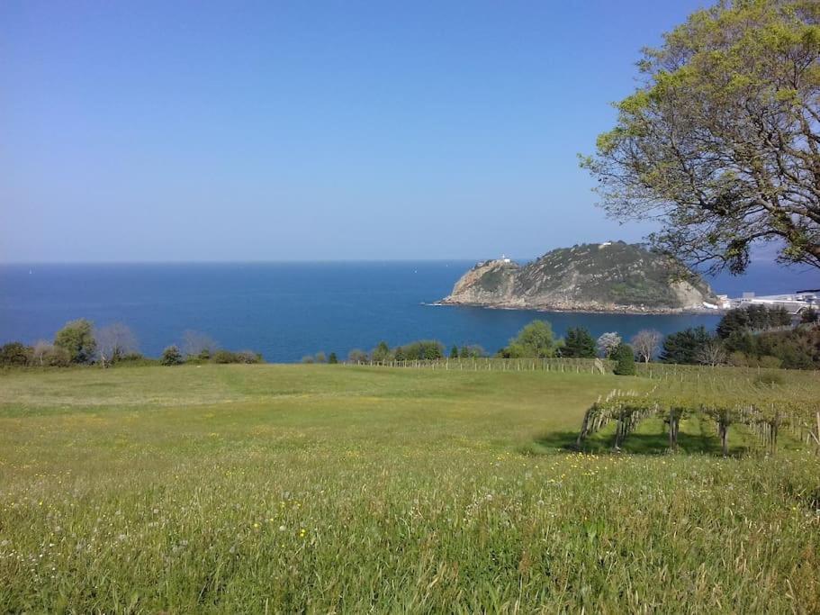 Gite Individuel Au Pays Basque A 1,5Km De St-Jean-Pied-De-Port Saint-Jean-Pied-de-Port Eksteriør bilde